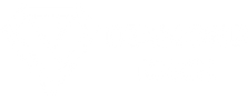 https://wa.link/sjdrdiamond